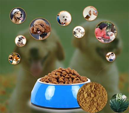 Detholiad Yucca Diaroglydd Anifeiliaid