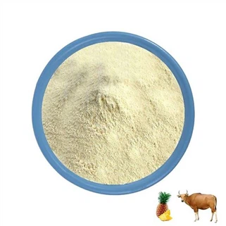 Powdwr Bromelain
