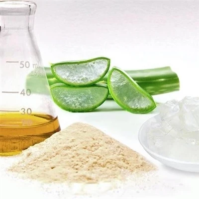 Manteision Sych Rhewi Aloe Vera Organig