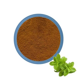 Peppermint Detholiad Powdwr