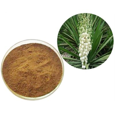 Powdwr Yucca